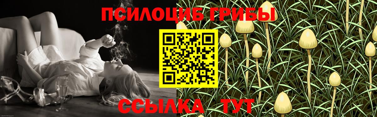 Галлюциногенные грибы Cubensis Сертолово